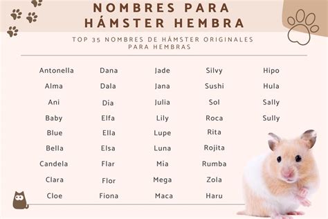 nombres para hamsters